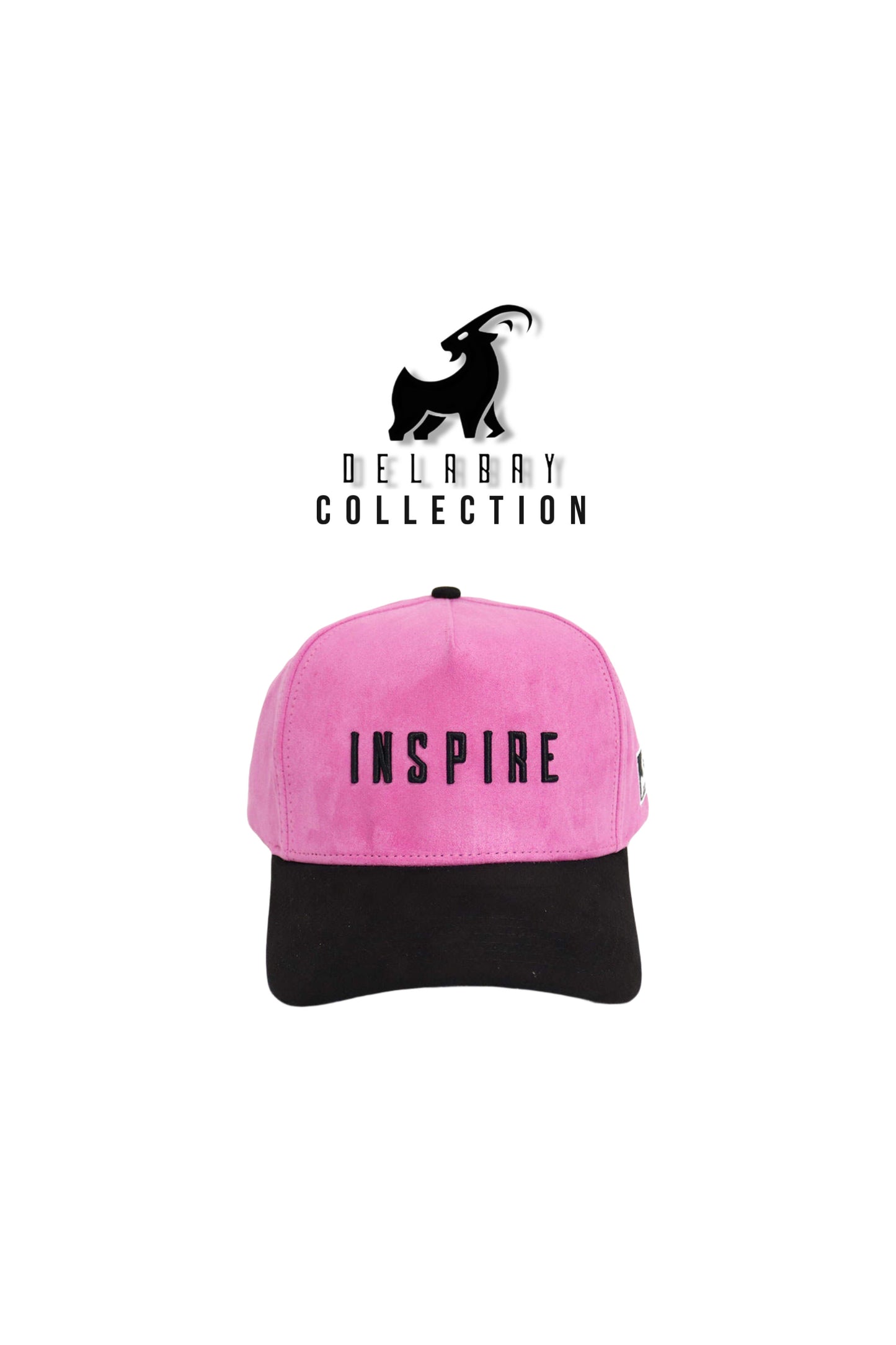 DELABAY INSPIRE