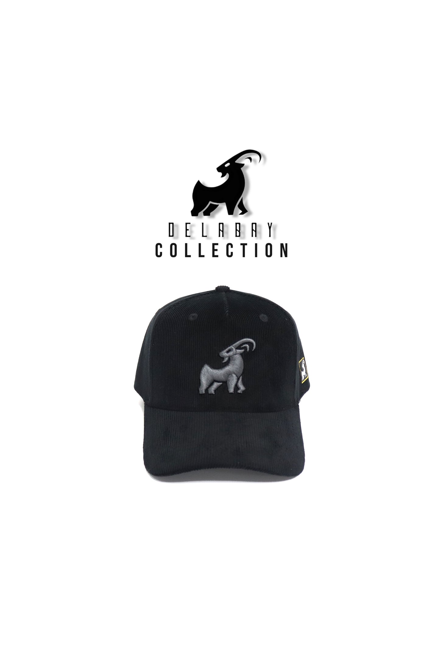 PANA BLK CAP