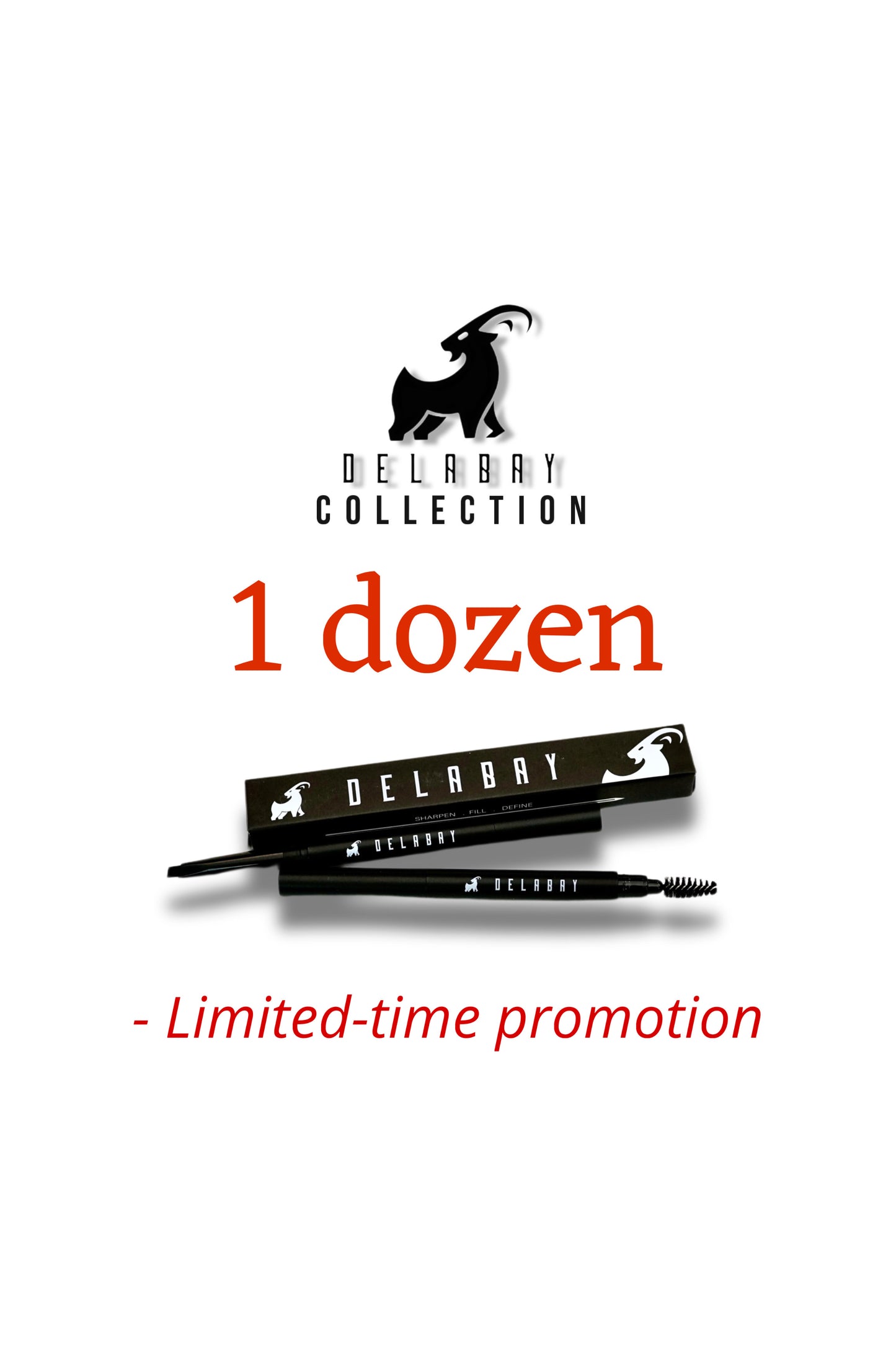 DELABAY BEARD PEN 1 dozen